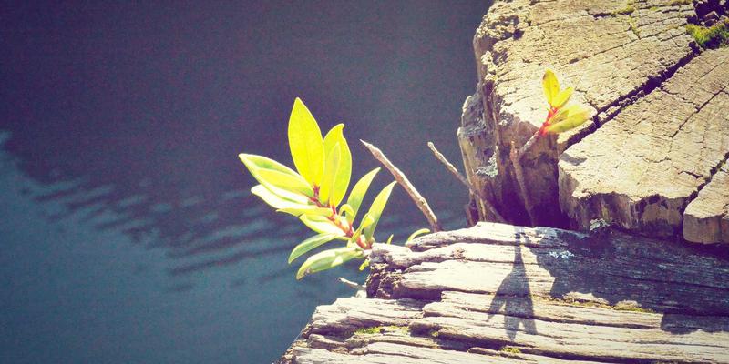 不止于车:解码中国一汽红旗尊享服务生态,看高端用户体验如何炼成