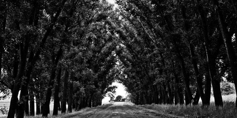 中国一汽与奥迪深化合资:PPE平台国产化,将如何重塑高端电动车市场格局?