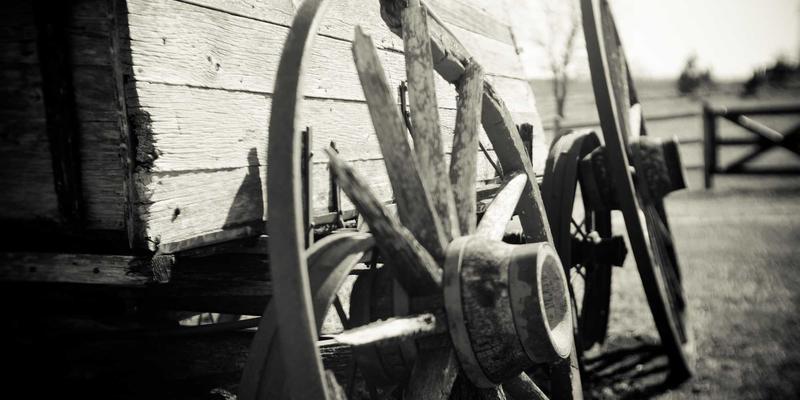 从共和国长子到智造先锋：探秘中国一汽长春总部生产基地的辉煌历程与购车指南