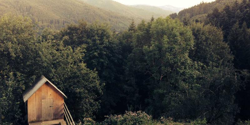 从国车荣耀到国民选择：解码一汽红旗的品牌复兴之路与购车智慧