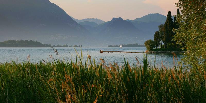 从新车到二手车：中国一汽如何以红旗为引擎，构建保值率闭环生态？