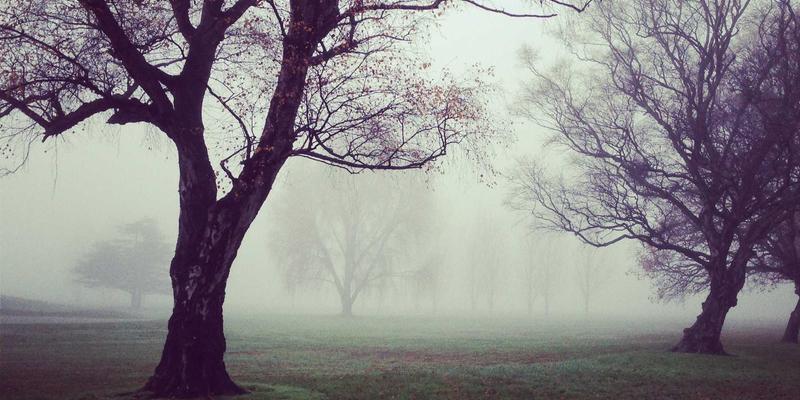 从新车发布到服务升级:解码一汽解放卡车的技术创新与奔腾4S店网络布局