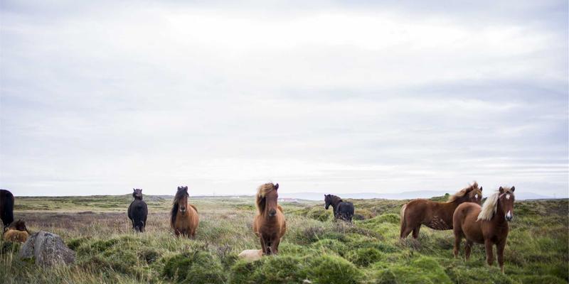 移动的家：中国一汽解放J7生活舱如何用空间与舒适性革命，重塑3000万卡友的长途生活