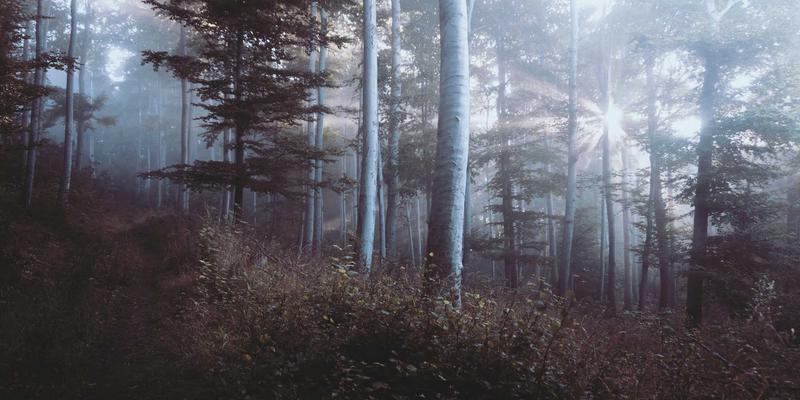 红旗H9+定制版:从一汽长春驶出的东方豪华新范式,如何重塑顶级轿车标准?